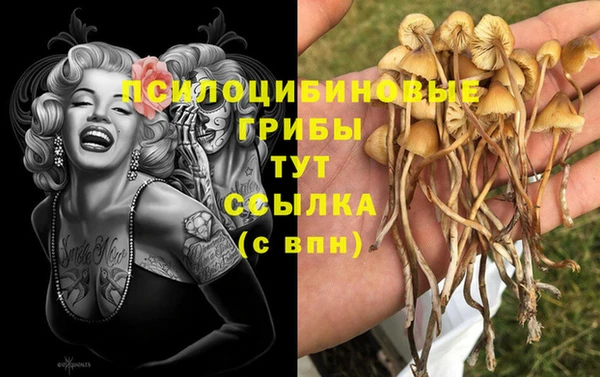 apvp Карпинск