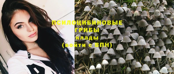 apvp Карпинск