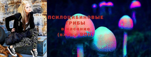 крисы Карталы