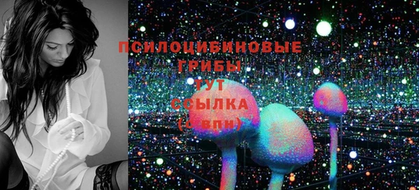 2c-b Кинешма