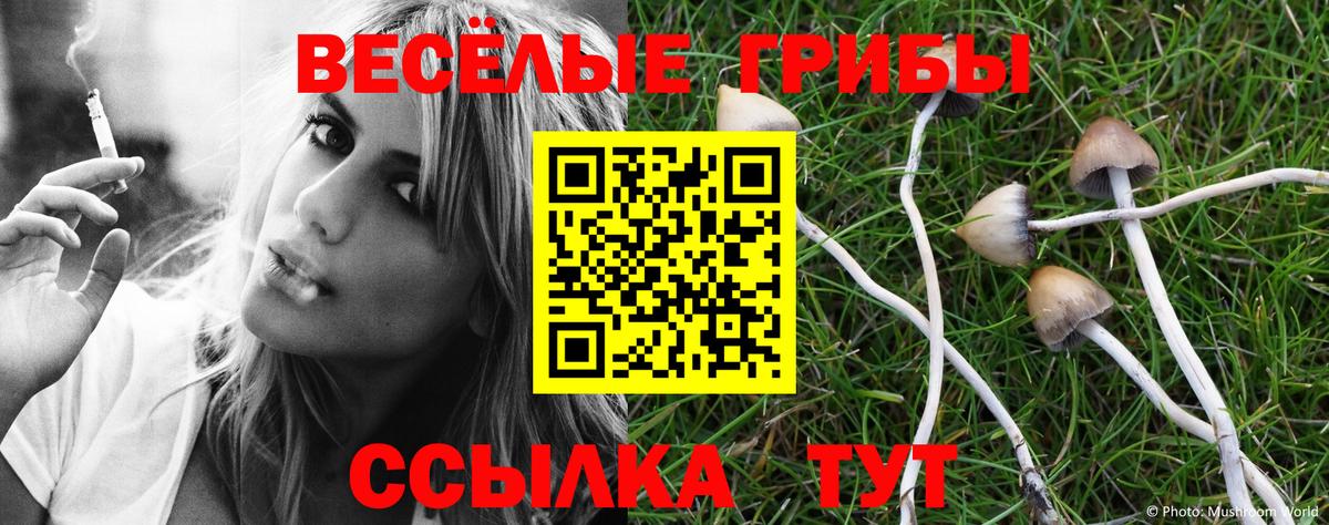 Псилоцибиновые грибы GOLDEN TEACHER Волжский